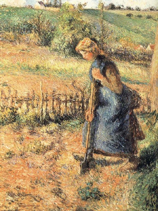 Camille Pissarro The collection of hay farmer